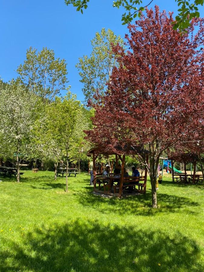 Abant Yesil Vadi Koc Pansiyon Dereceoren Екстер'єр фото